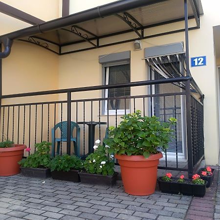 New Studio 70M To The Lake Ohrid Eksteriør bilde