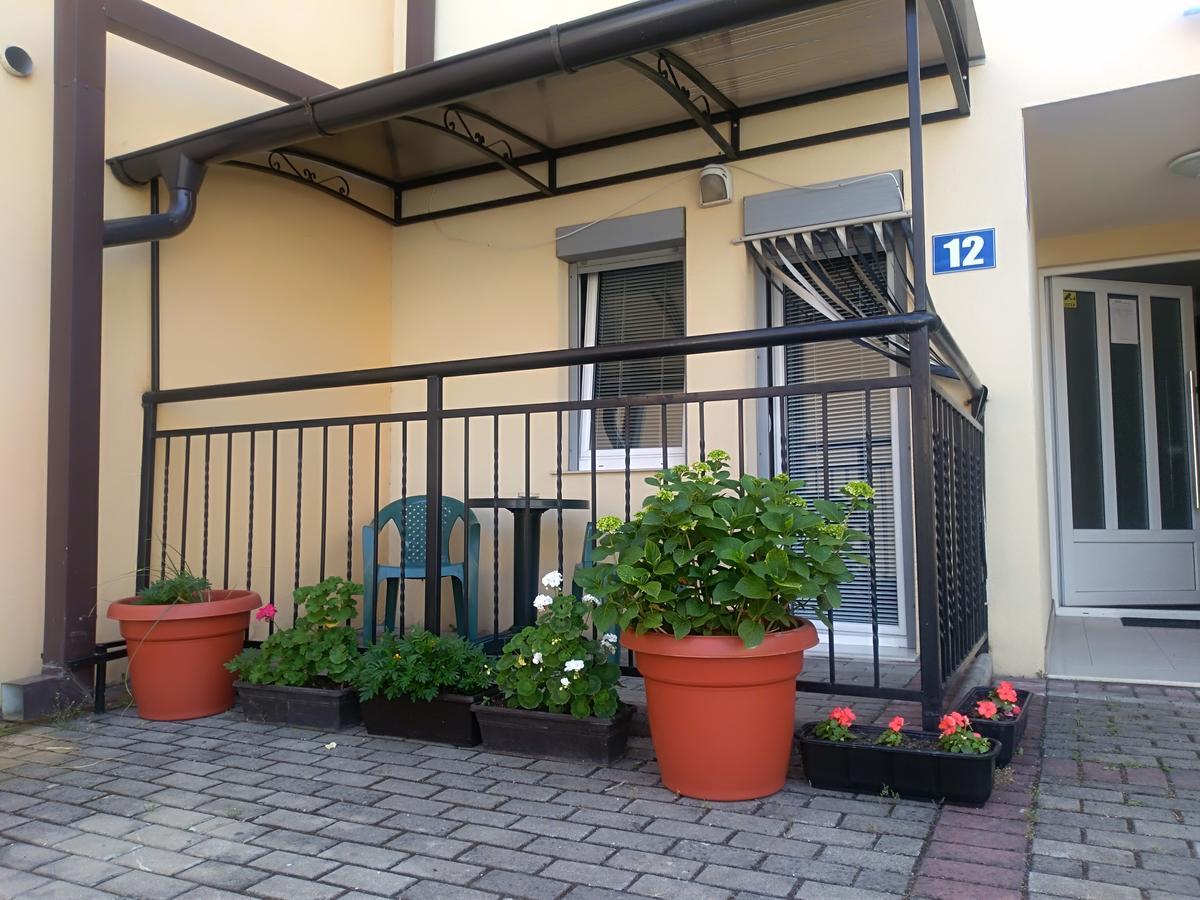 New Studio 70M To The Lake Ohrid Eksteriør bilde